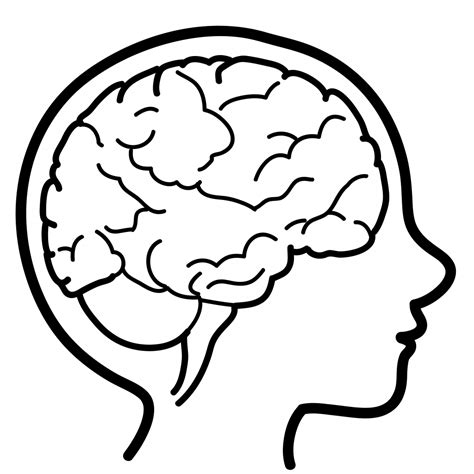Simple Brain Drawing at GetDrawings | Free download