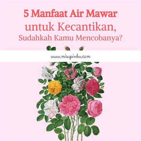 manfaat air mawar buatan sendiri