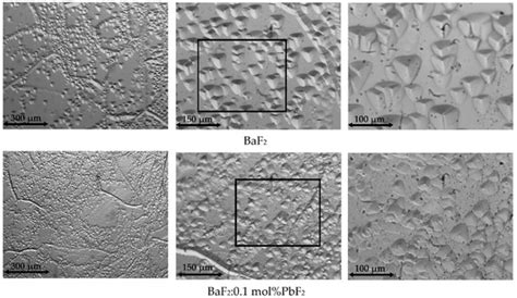 Spectroscopic Properties of Pb2+-Doped BaF2 Crystals