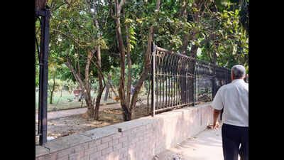 Delhi: Green space vanishes as squatters park themselves | Delhi News ...