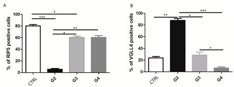 Clinical Significance and Expression Pattern of RIP5 and VGLL4 in Clear ...