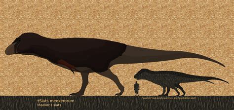 Siats Meekerorum Dinosaur