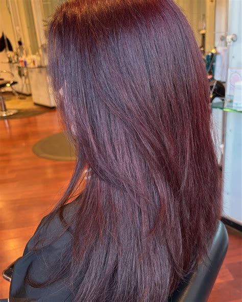 25 Black Cherry Hair Color Ideas You’ll Regret Not Trying – CreativeBooster