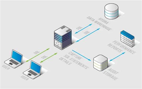 Image result for Java Program to Simulate Hydra