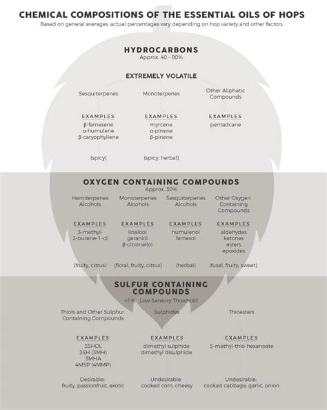 Thiolized Beer — Watts Brewing Company