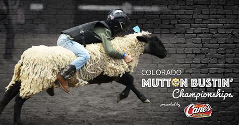 Colorado Mutton Bustin Championships, National Western Complex, Denver ...