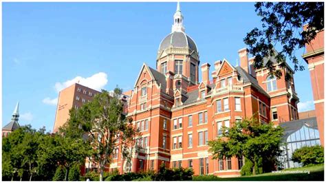 John Hopkins reports promising results; Using Treg cells for COVID-19