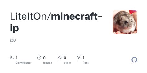 Image result for IP Minecraft
