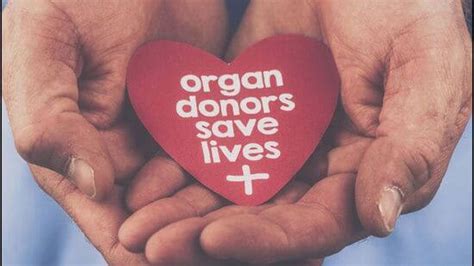 Chandigarh: 44-year-old brain-dead Haryana man saves five lives