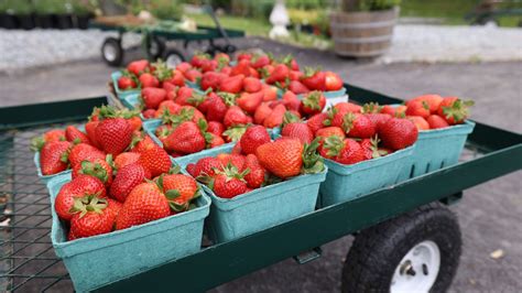 Blowing Rock Farmers Market ⋆ Blowing Rock, NC