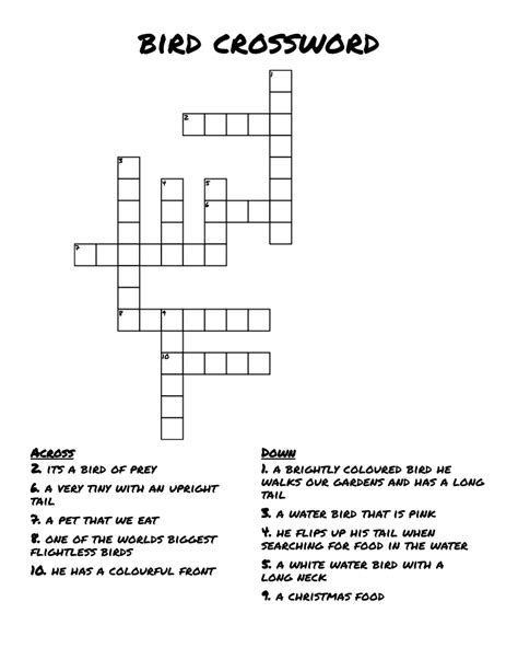 Sinbads Bird Crossword - prntbl.concejomunicipaldechinu.gov.co