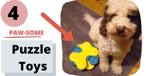 Cockapoo Barking Sound 的图像结果