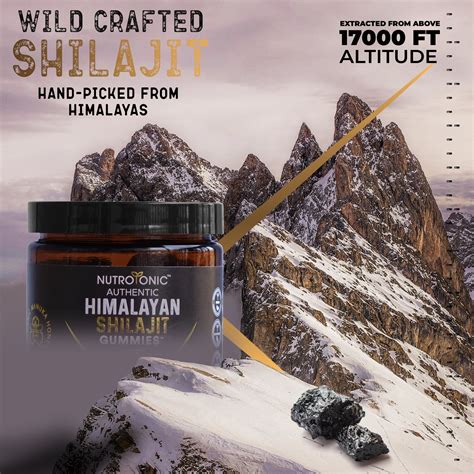Authentic Himalayan Shilajit Gummies Sweetened with Organic Manuka Hon– NUTROTONIC