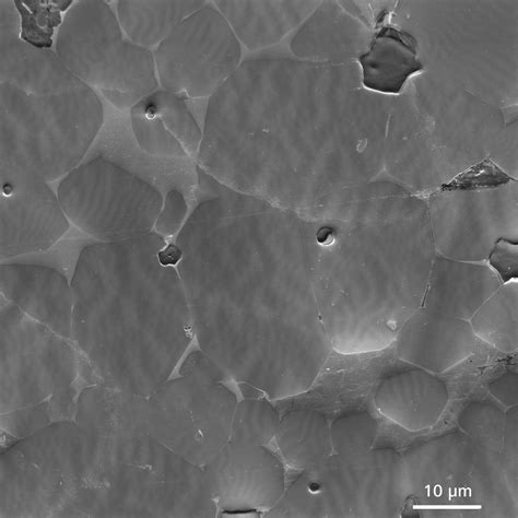 ZEISS GeminiSEMファミリー