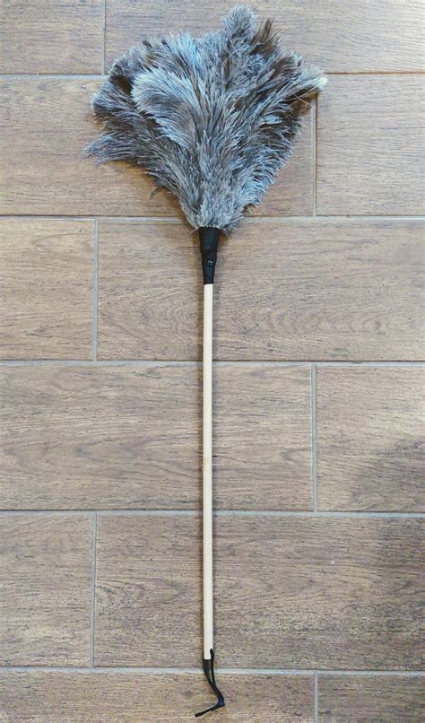 Using Feather Duster 的图像结果