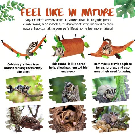 1 Pc Cozy Small Pet Hammock With Leafy Decor - Warm Hanging Bed & Play ...