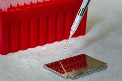 Sexually Transmitted Diseases: Types, Symptoms, and Treatment | Kindly ...