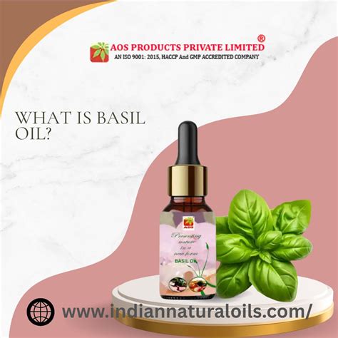 What is Basil Oil? Benefits, Uses & How It’s Made | AOS Products
