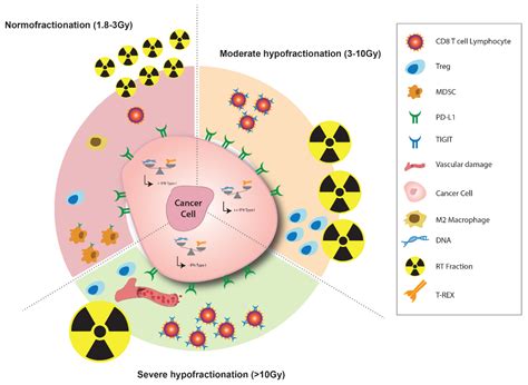 The 6th R of Radiobiology: Reactivation of Anti-Tumor Immune Response