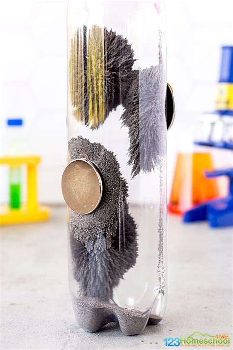 Image result for Science Magnets