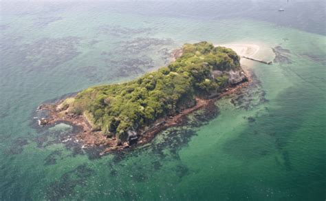 30岁女子买70万平小岛成岛主，起拍价60万有永久使用权：留着度假