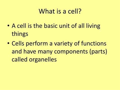 Image result for Cells Tutorial