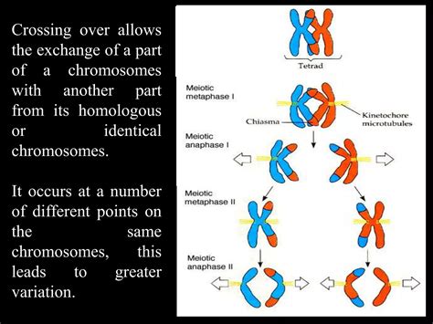 Image result for Inherited Variation