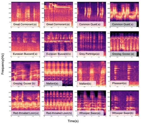 A Novel Bird Sound Recognition Method Based on Multifeature Fusion and ...