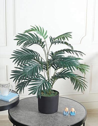 Buy Fourwalls Artificial Rubbrr Floor Plant Without Pot (75 cm Tall ...