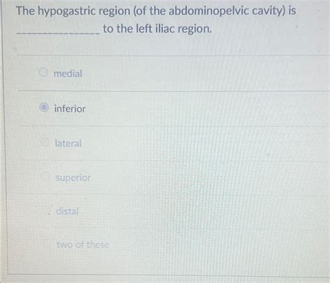 Solved The hypogastric region (of the abdominopelvic cavity) | Chegg.com