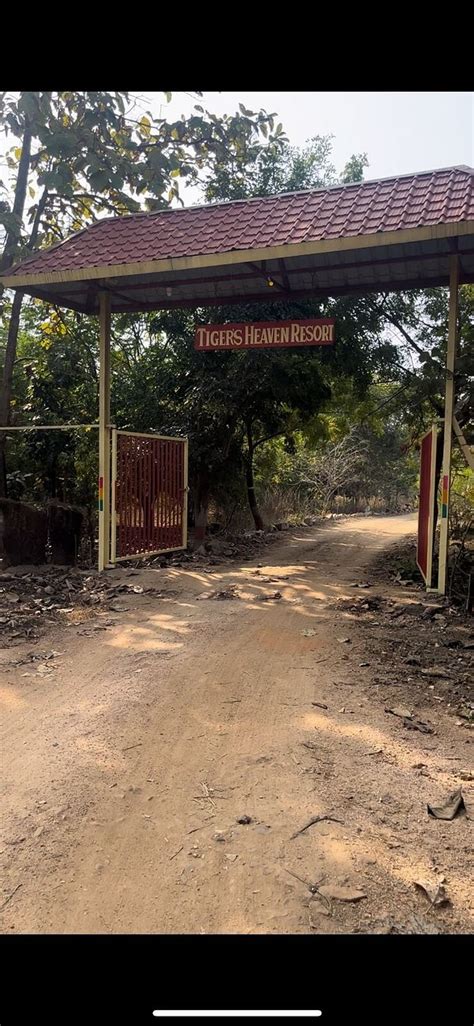 TIGERS' HEAVEN RESORT (Khadsangi) - Lodge Reviews, Photos, Rate ...
