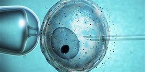 Image result for Bioethics Potter