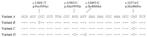 Sequence Variation in the Bovine Lipin-1 Gene (LPIN1) and Its ...