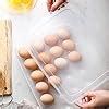 Buy NIIYOCA TEKCOOL Grid Egg Storage Box Egg Refrigerator Rectangular ...
