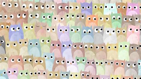 Can you spot a cat hidden among the owls in 11 Secs?