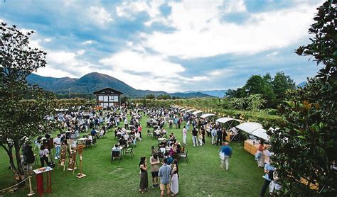 Rosario, Sergio Dalma i Mishima actuen a la Garrotxa
