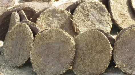P&K Quality 100% Cow Dung Cakes (Cow Gobar) for Hawan and Indian ...