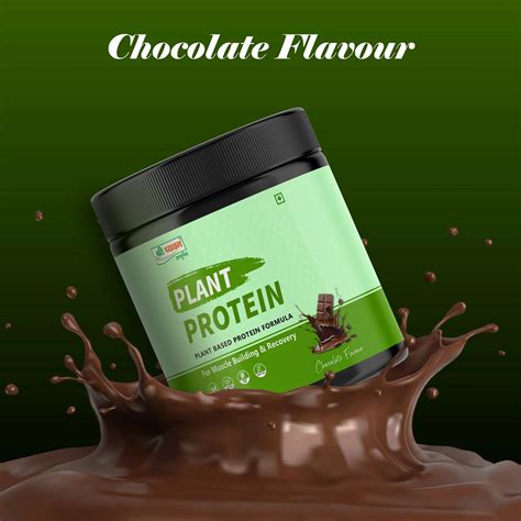 Best Plant Protein Powder in India | Plant based Protein Powder