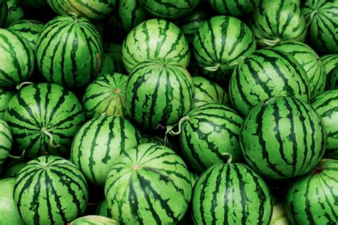 Watermelon Leaves Turning Yellow Plant ID Vegetables: Watermelon ...