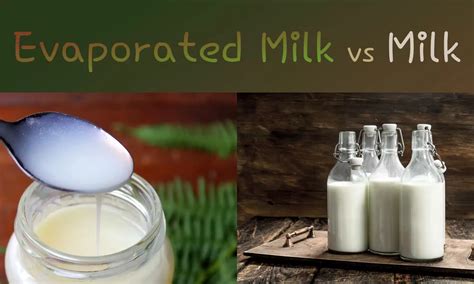 Evaporated Milk vs Milk: Which is Better? - The Coconut Mama