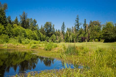 The Golf Club at Redmond Ridge | Seattle Golf Courses