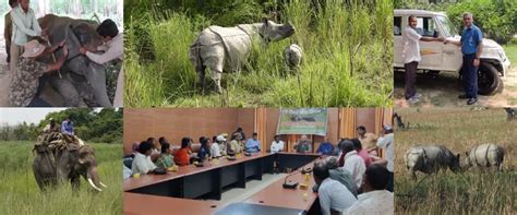 Facilitating the Free-Ranging of Rhino in Dudhwa Tiger Reserve