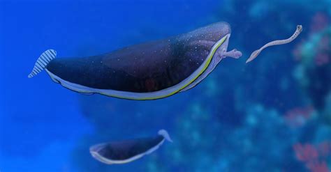 Alien Fossils 的图像结果