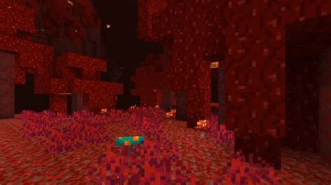 Image result for Minecraft New Nether Update