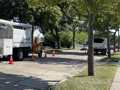Tree trimmers improve Oak Park power line reliability - Empowering Michigan