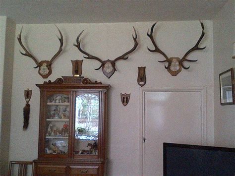 COURT PLACE FARM (Porlock, Exmoor National Park) - B&B Reviews & Photos ...