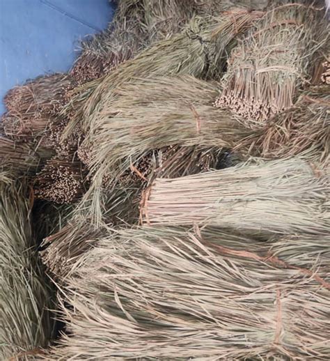 Forest Products & Herbs - Attappadi Kurumba Scheduled Tribe Service Co ...