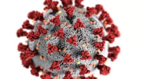 4 new Covid-19 deaths reported, active cases near 4,000 in India