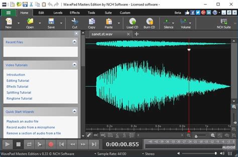 Image result for WavePad Sound Editor Code
