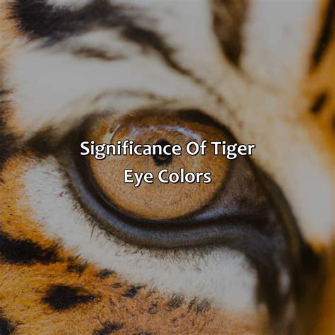 Tiger Eye Color Code